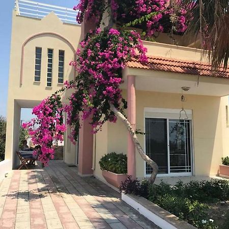 Villa George Apolakkia Ngoại thất bức ảnh